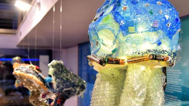 L’arte contro l’inquinamento In finale i pesci in 3D del liceo