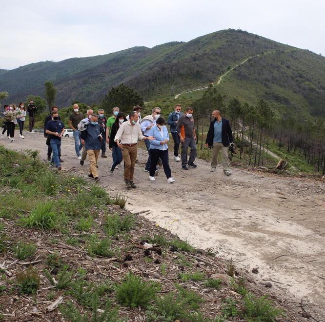 Il Monte Serra rimette il suo abito verde: piantati 1.350 alberi sui versanti bruciati 