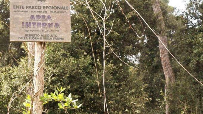 Gli ambientalisti sul Parco: «Presidente scelto per politica»