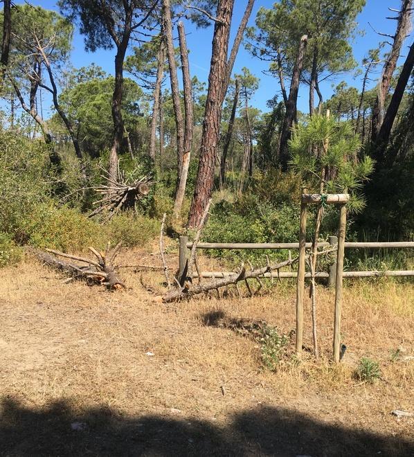 Rifiuti vicino ai cassonetti, ai condomìni e alla chiesa