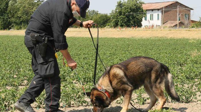 Rogatoria internazionale per l’arresto dei genitori