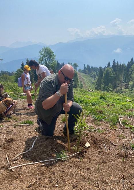 Foreste alpine Bulgarelli Production le sostiene 