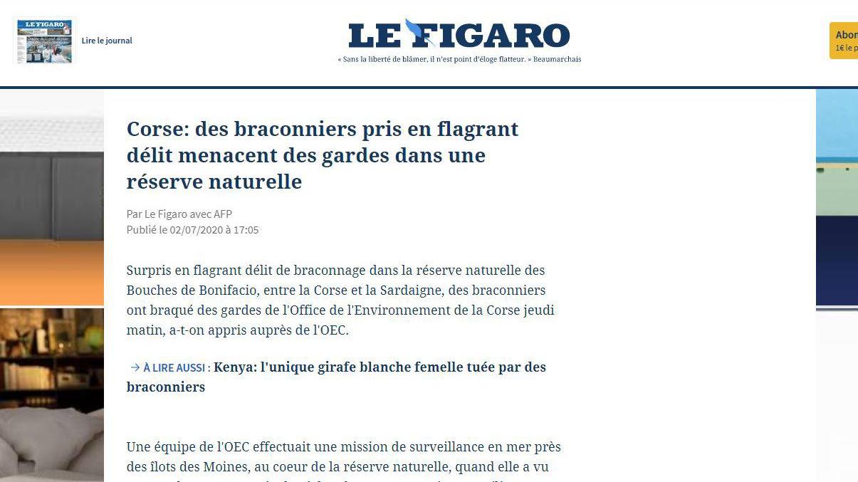 I giornali corsi: «Bracconieri seriali di cernie»
