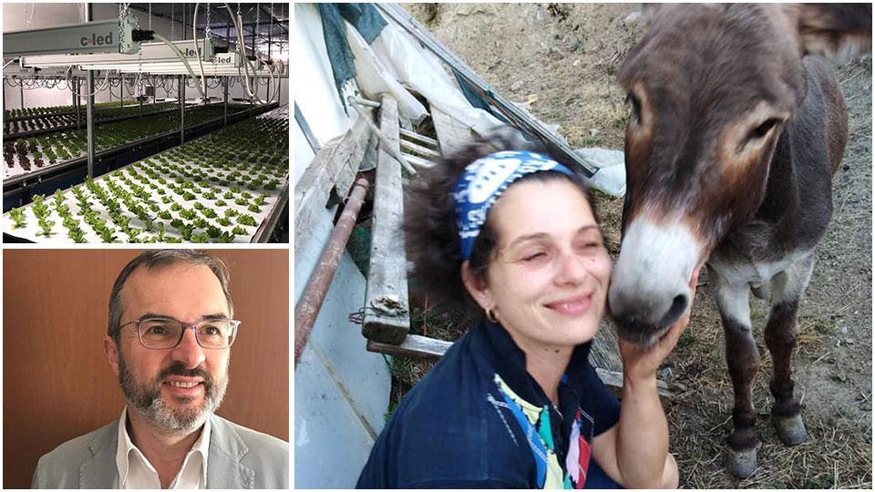 Nelle foto piccole, Andrea Pezzoli e l’insalata “airfloating” prodotta nella “Edo Radici Felici”. Nella foto grande, Gabriella Michelozzi con uno dei suoi animali