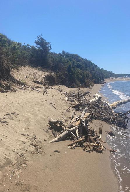Sos erosione, parte il ripascimento tampone 