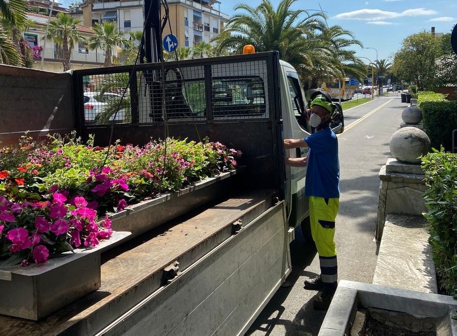 Alla Caravella arrivano 31 vasche piene di fiori e di essenze 