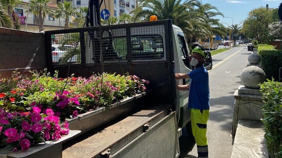 Alla Caravella arrivano 31 vasche piene di fiori e di essenze
