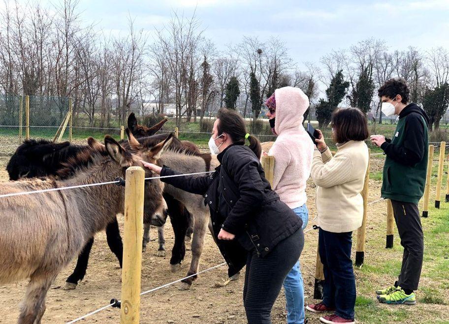 Modena. “Bendesa”, così si riparte accanto ai disabili sul lavoro 