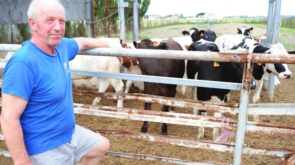 Solara. La “Bellei Marco”, azienda rinata grazie alla solidarietà