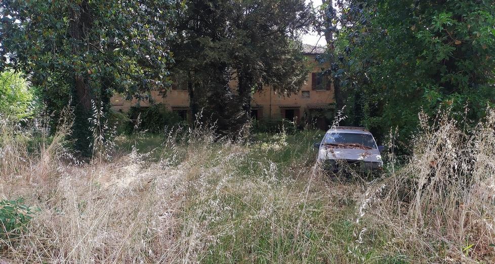 Ferrara, albero caduto, bisce e topi: «La situazione è insostenibile» 