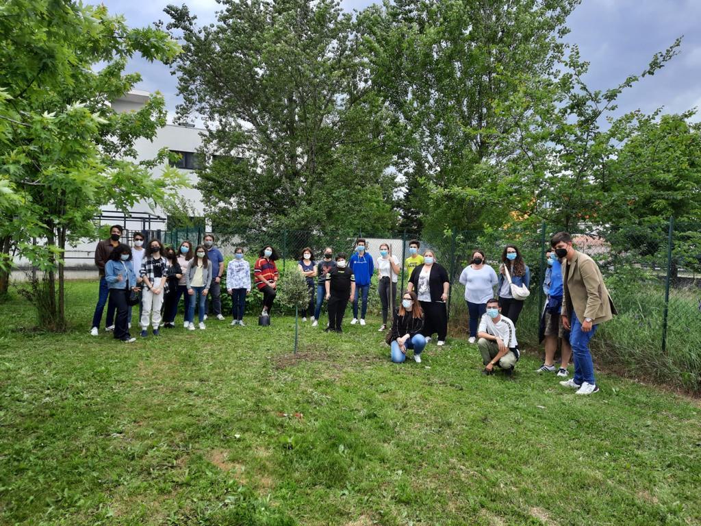 Modena. L’Azione Cattolica parla di ambiente e pianta un ulivo