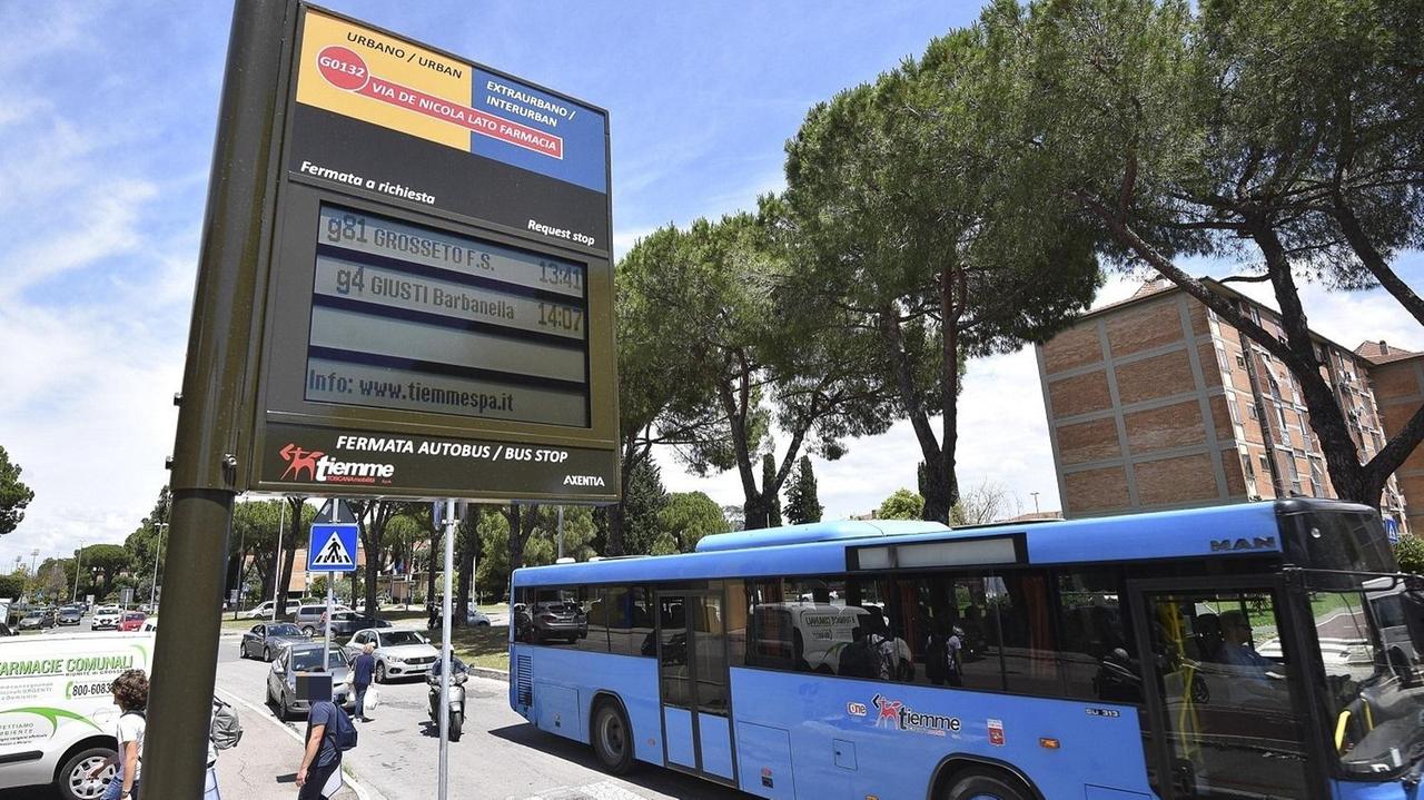 Un autobus Tiemme (foto d'archivio, Agenzia Bf)