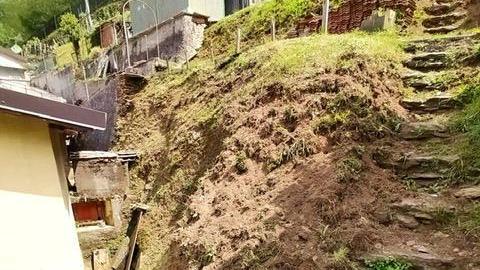 Allarme cinghiali Fanno danni alle colture e alle recinzioni