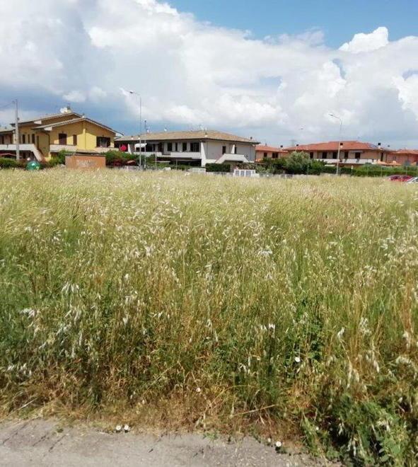 Erba alta in un campo proteste dei residenti