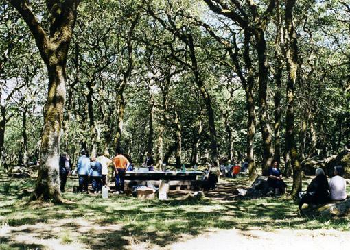 Macomer 13 km di strisce tagliafuoco 