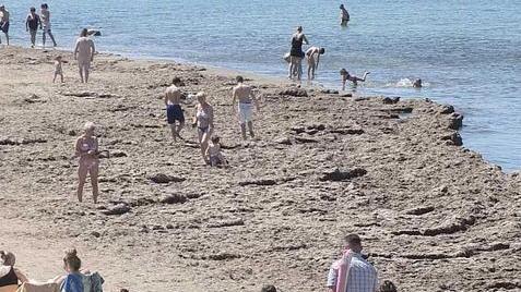 Meteo inesatto, l’assessore Marras ora prova a dire che va bene così
