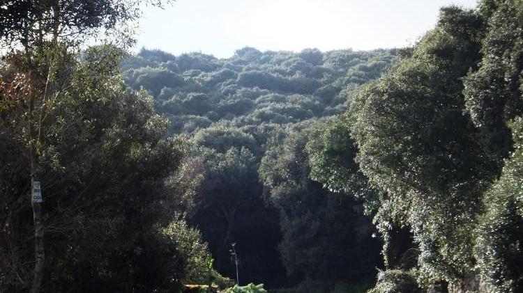 Forestali si arrampicano sulle rocce del Montiferru per raggiungere una turista dispersa