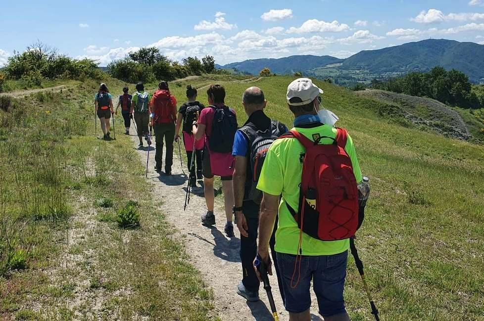 La nuova Pinetina riparte con una rassegna estiva 