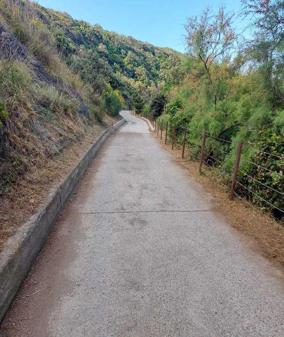 Manutenzione del verde a Calamoresca e Baratti