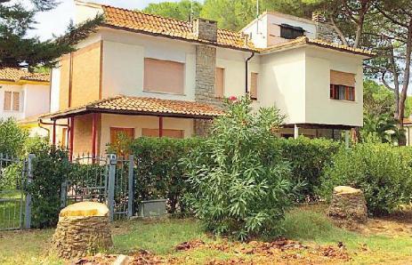 Giù altri 20 alberi, il viale delle Palme perde ancora pezzi 