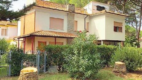 Giù altri 20 alberi, il viale delle Palme perde ancora pezzi