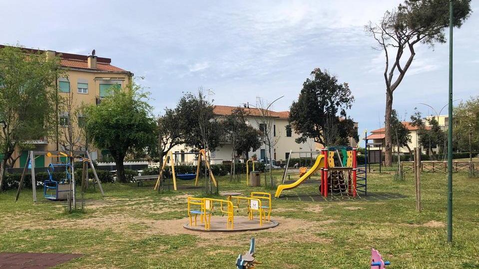 Pineta di Ponente, ancora criticità nella manutenzione
