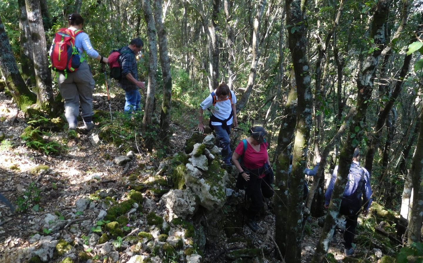Monte Maiore, un viaggio tra passato e natura 