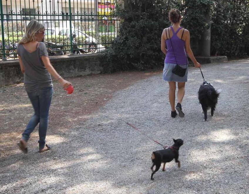 A Livorno ecco ispettori ambientali e studenti per sensibilizzare i padroni dei cani - Il programma 