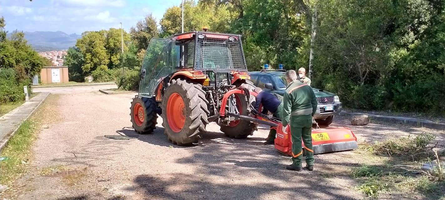 Operai Forestas al lavoro
