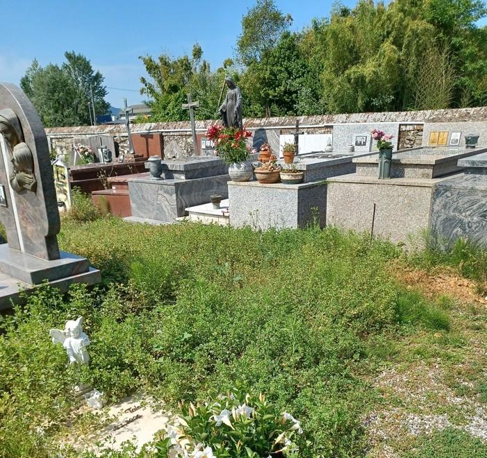 Erbacce attorno alle tombe Toringo, protestano i cittadini 