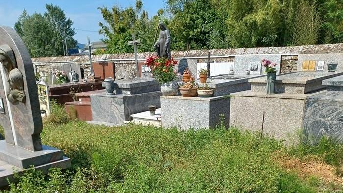 Erbacce attorno alle tombe Toringo, protestano i cittadini
