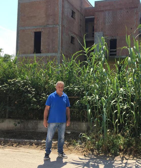 Erbacce alte tre metri Appello al Comune 