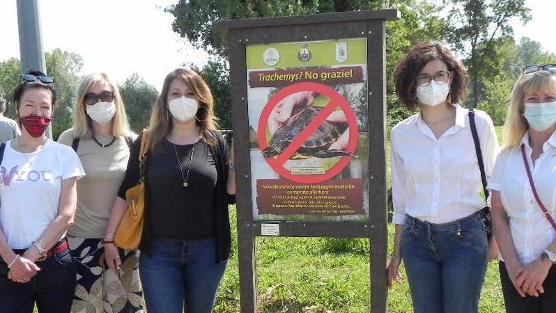 Tartarughe abbandonate nel lago e catturate col progetto per le scuole