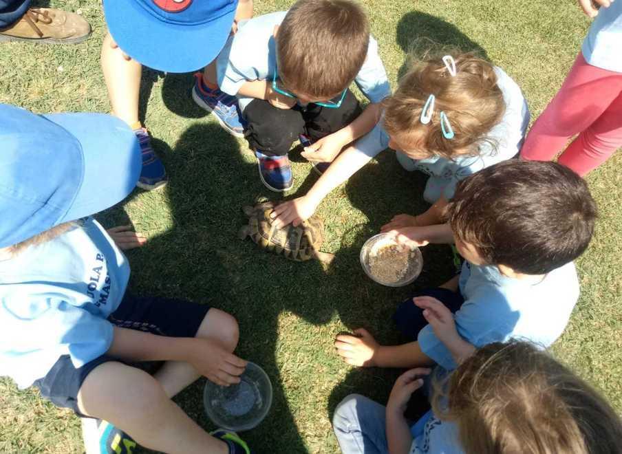 Fra galline e tanti giochi prima scuola in visita al pollaio dello zio Tom 