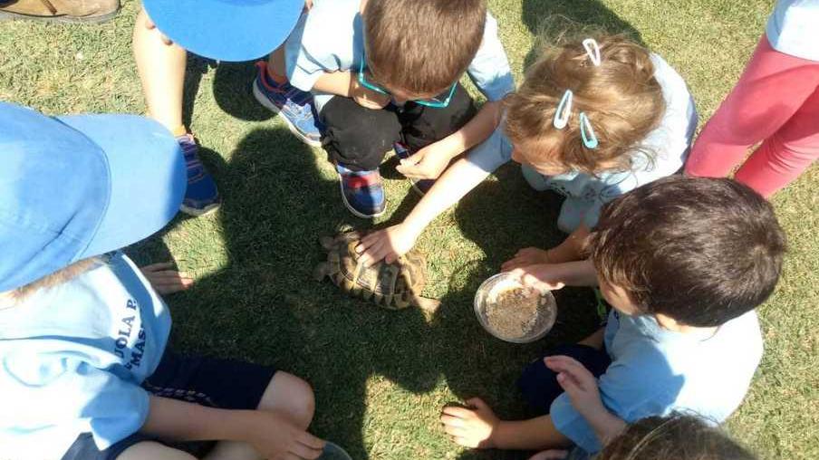 Fra galline e tanti giochi prima scuola in visita al pollaio dello zio Tom