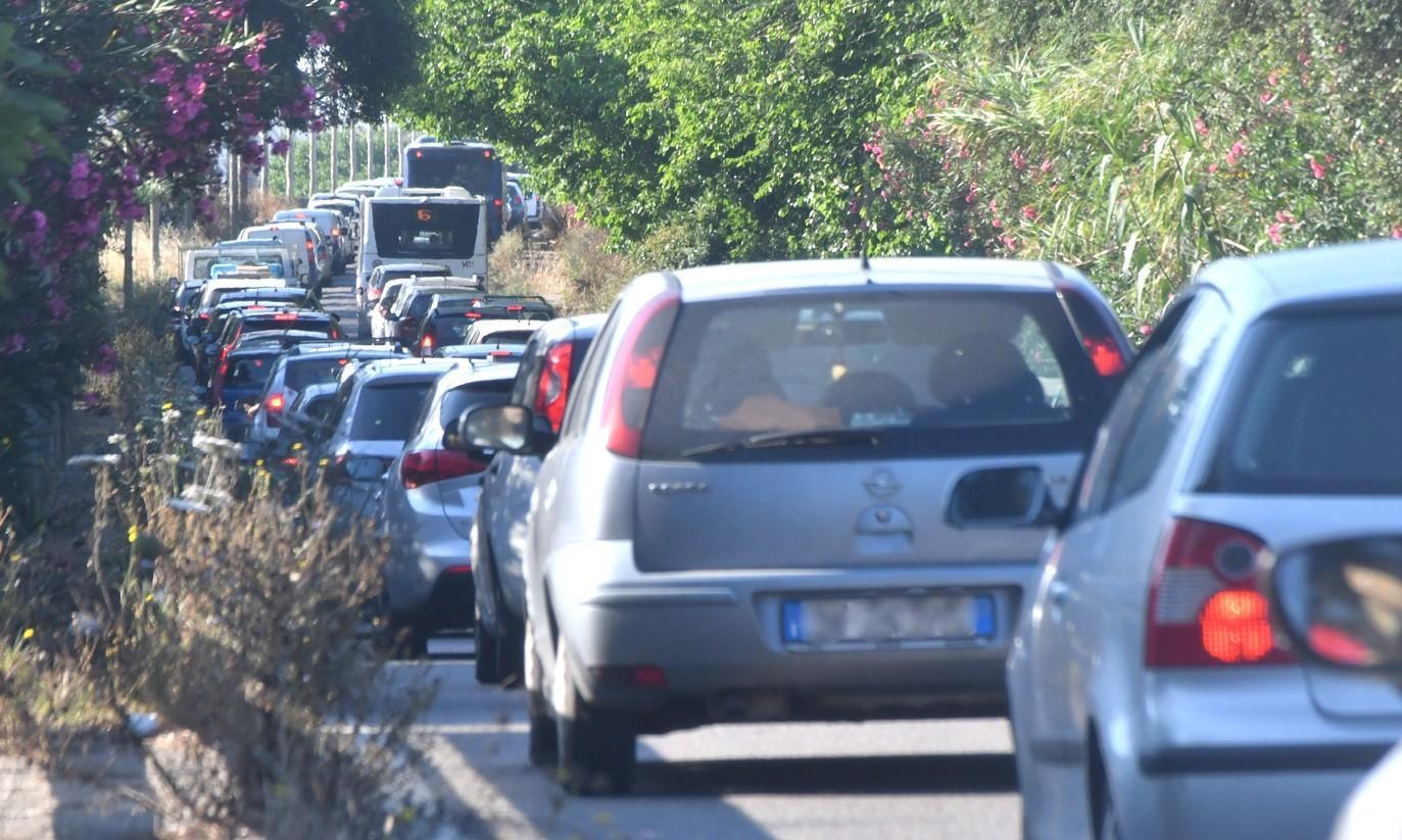 Palme da potare, auto in coda