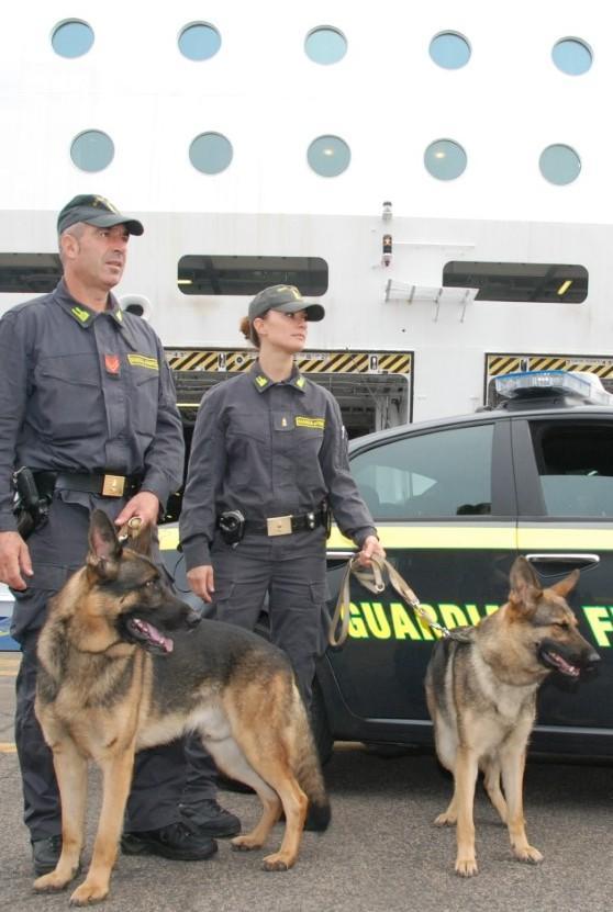 “Ovulatore” arrestato: un anno di reclusione 