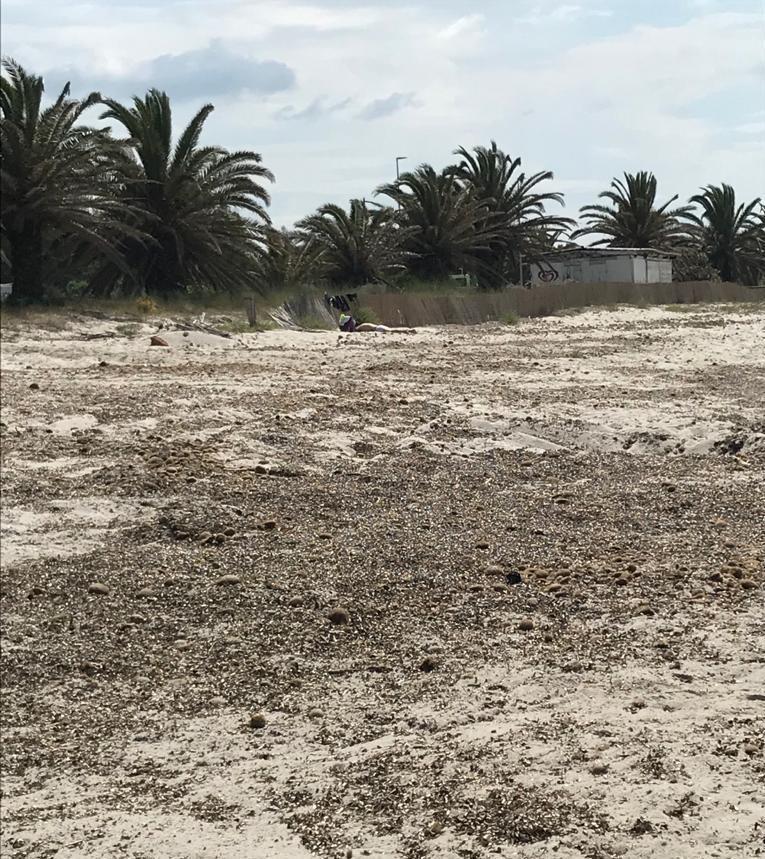 Invasione di posidonia i “pulitori” raddoppiano 