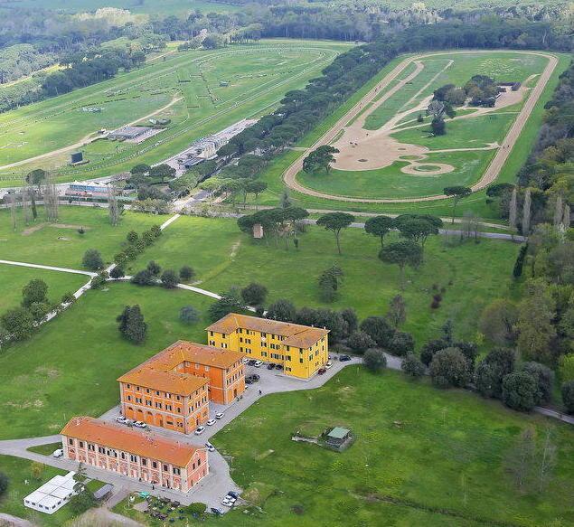 Una veduta di San Rossore
