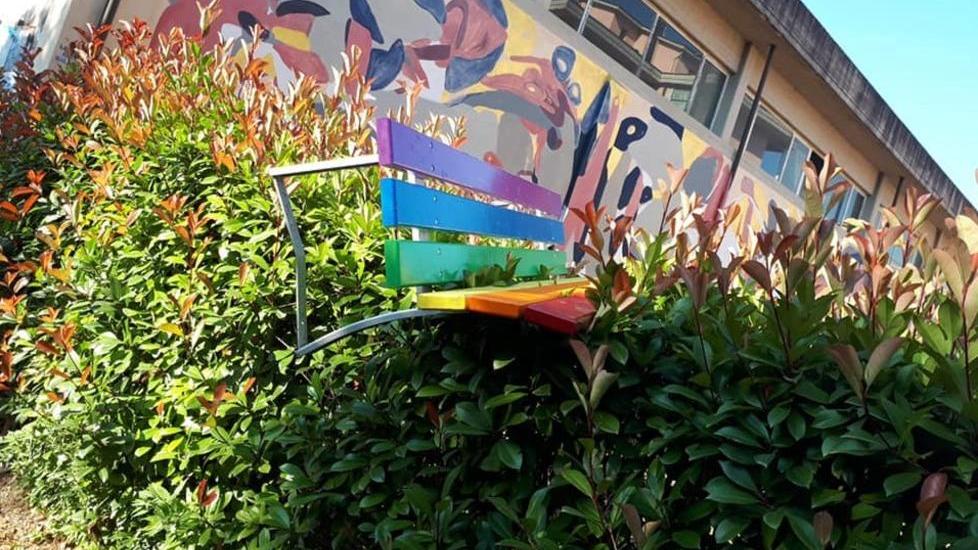Panchina arcobaleno danneggiata, divelta e gettata su una siepe