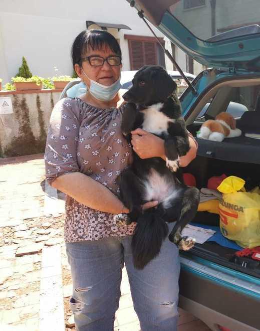 Gara di solidarietà per garantire le cure alla cagnolina Nerina