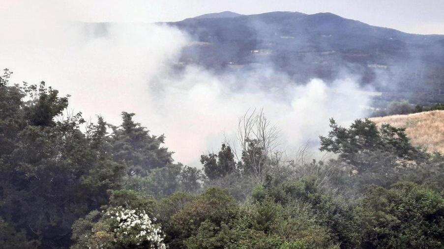 Paura per un incendio a poca distanza dal centro vaccinale