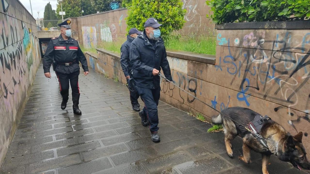 I carabinieri con un cane antidroga