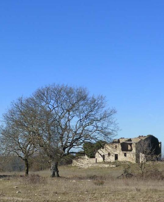 Dal borgo al territorio Oggi al via il trekking