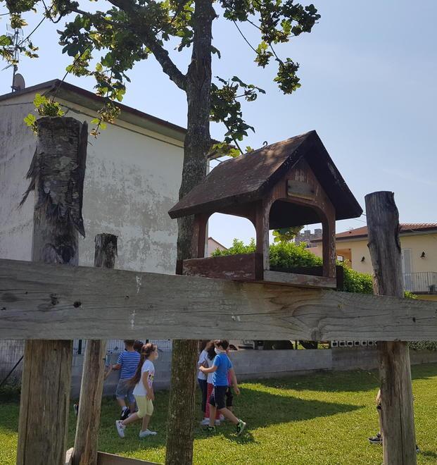 Un giovane albero per salutare la fine dell’anno scolastico 