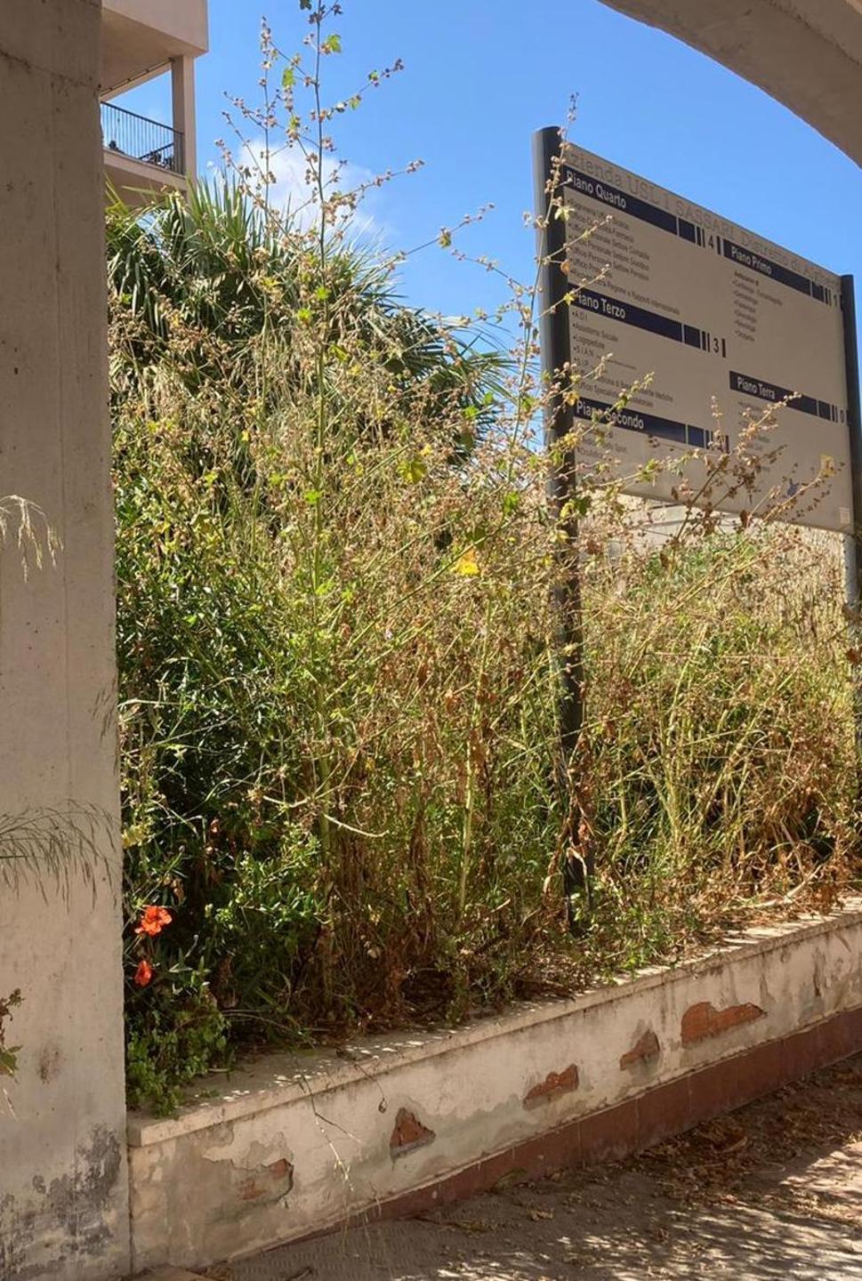 Erbacce sul cartello del palazzo della Sanità 