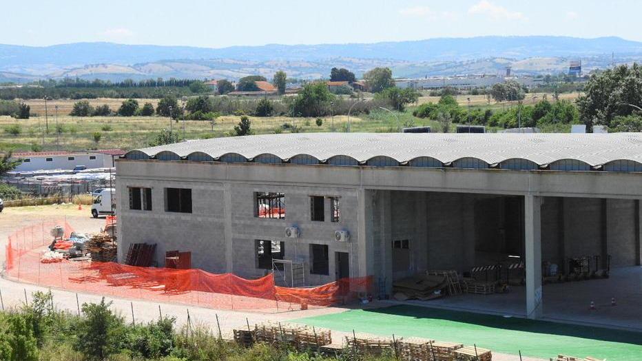 Amazon a Grosseto, partite le consegne: ecco chi gestisce la piattaforma