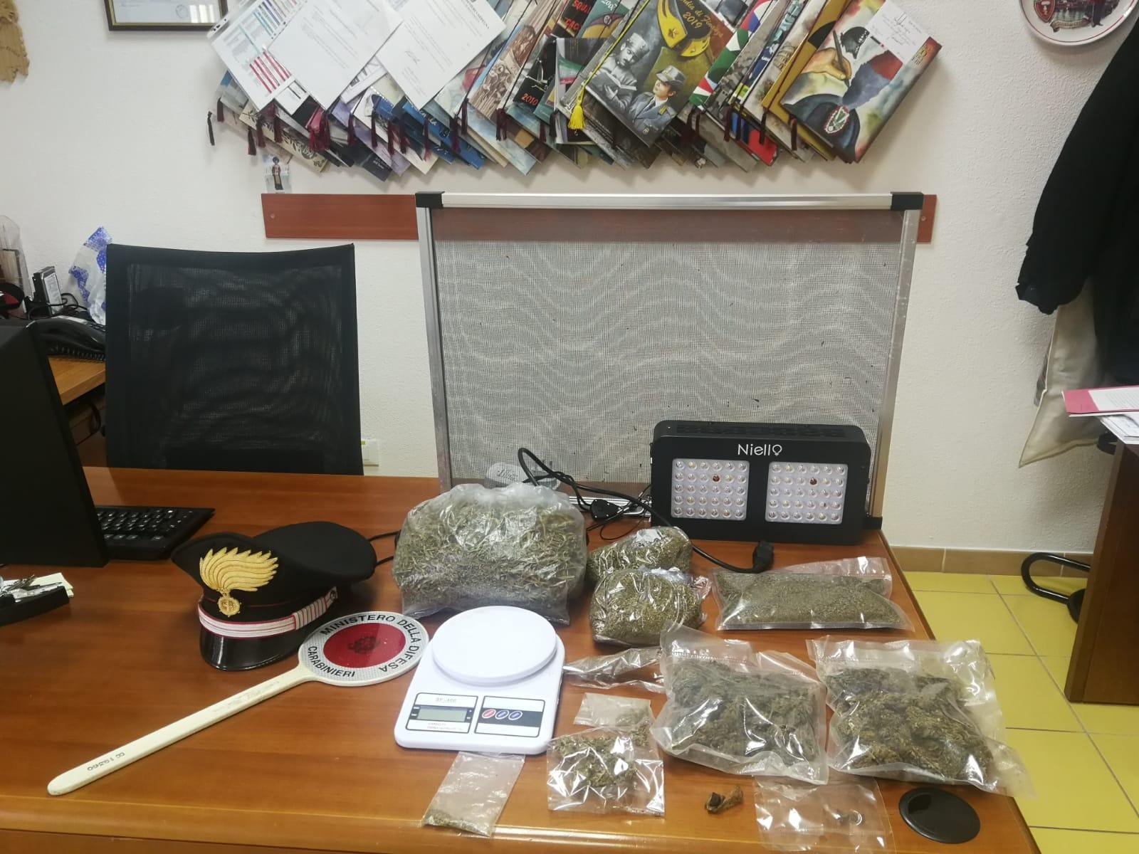 Denuncia per possesso di marijuana e Tso per un giovane di Senorbì