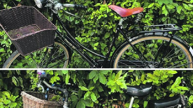 Ladro sorpreso con le bici rubate: prova a fuggire ma viene denunciato
