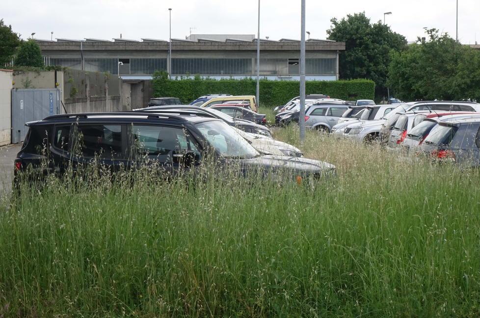 Erba da tagliare, il Comune di Pistoia boccia Alia 
